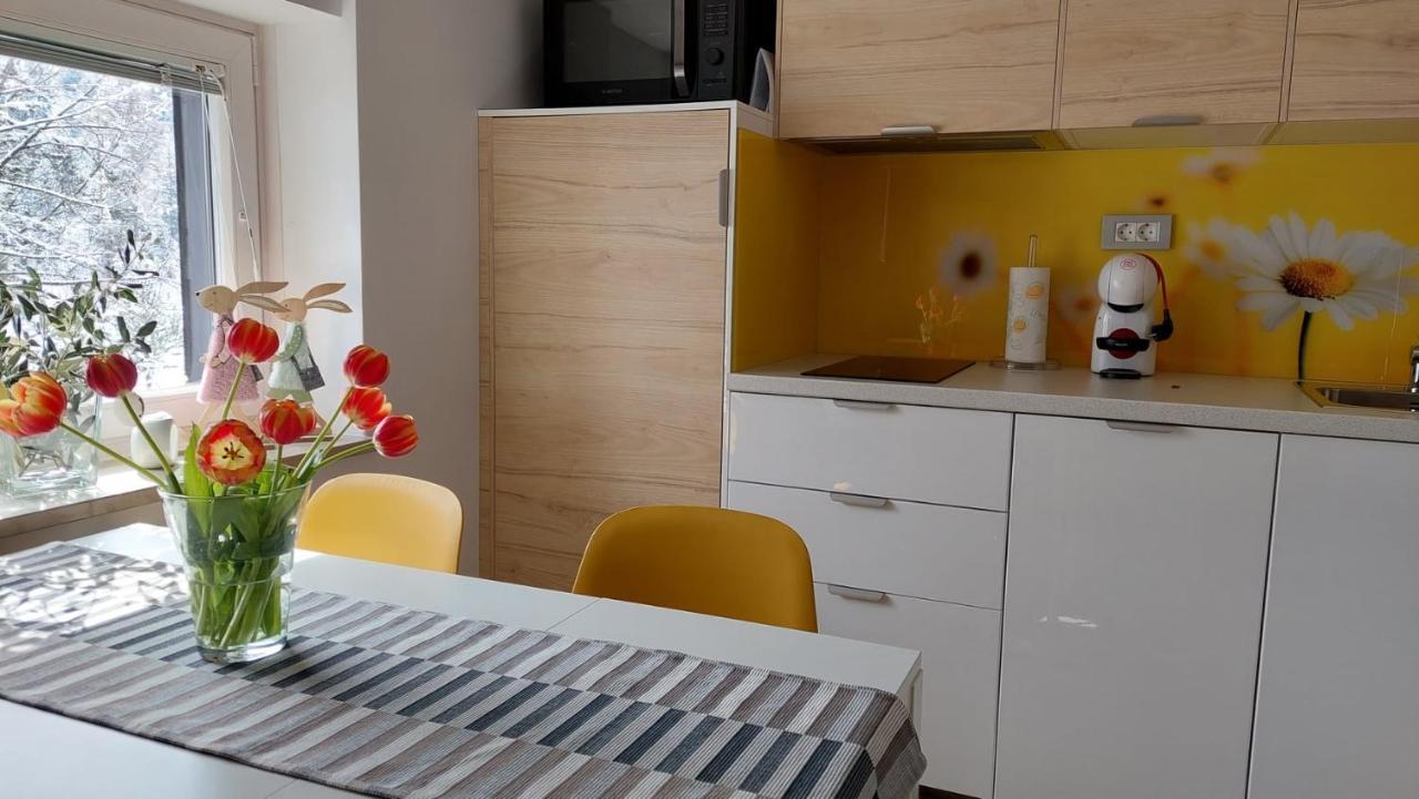 Apartma Marjetica กอซด์มาร์ทูลเย็ก ภายนอก รูปภาพ